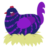 A navy and violet chicken with a bar pattern