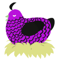 A amethyst and black chicken with a lace pattern