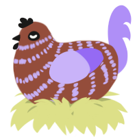 A russet and lilac chicken with a bar pattern