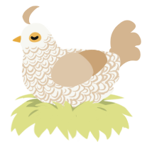 Toasty Marshmallow, a white and beige chicken with a double-lace pattern