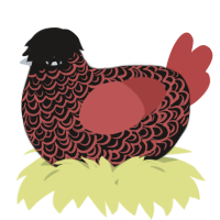 A sable and red chicken with a double-lace pattern