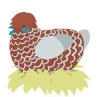 A russet and silver chicken with a lace pattern