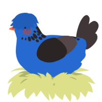 A orange and silver chicken with a neck-speckle pattern