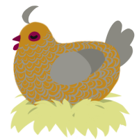 A ochre and ash chicken with a double-lace pattern