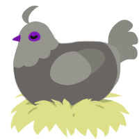 A grey and ash chicken with a head pattern