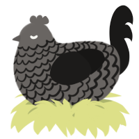 A grey and sable chicken with a lace pattern