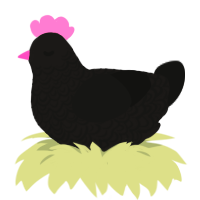 Volcano Bath, a sable and black chicken with a double-lace pattern