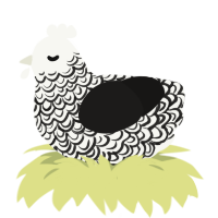 Doyle, a white and sable chicken with a double-lace pattern