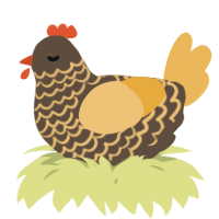 A bark and honey chicken with a lace pattern