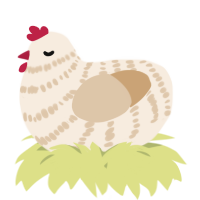 A cream and beige chicken with a bar pattern