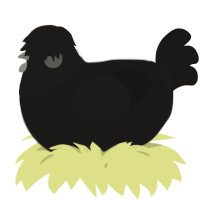 A sable chicken with a head pattern