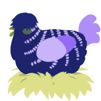 A navy and lilac chicken with a half-bar pattern