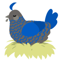 A grey and ultramarine chicken with a lace pattern