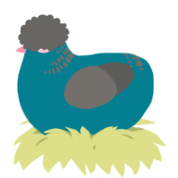 A sea and grey chicken with a neck-band pattern
