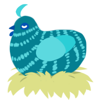 A sea and aqua chicken with a bar pattern