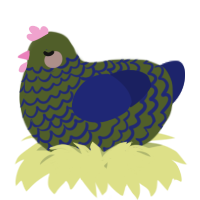 A olive and navy chicken with a lace pattern