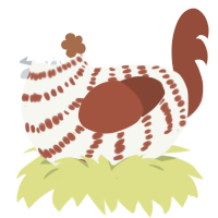Noelle, a white and russet chicken with a bar pattern