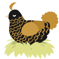A sable and gold chicken with a lace pattern