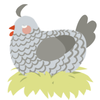 A mist and ash chicken with a lace pattern