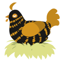 A sable and ochre chicken with a bar pattern
