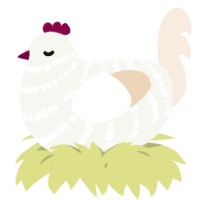 A white and cream chicken with a bar pattern