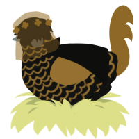 Sonorance, a sable and gold chicken with a lace pattern