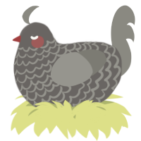A grey and ash chicken with a lace pattern