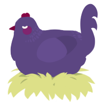 A overcast chicken with a neck-band pattern