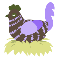A bark and lilac chicken with a bar pattern
