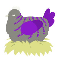 A ash and violet chicken with a half-bar pattern
