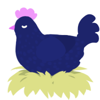 A navy chicken with a speckle pattern
