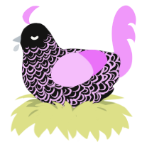 Black Licorice, a black and lavender chicken with a double-lace pattern
