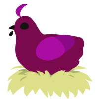 Pomegranate Seed, a wine and plum chicken