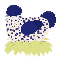 A cream and navy chicken with a speckle pattern