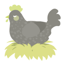 A ash chicken with a speckle pattern