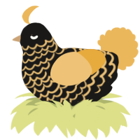 A sable and honey chicken with a lace pattern