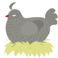 A ash chicken with a lace pattern