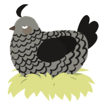 A ash and sable chicken with a lace pattern
