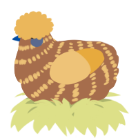A brown and honey chicken with a bar pattern