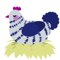 A mist and navy chicken with a bar pattern