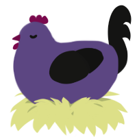 A overcast and black chicken