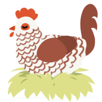 A white and russet chicken with a lace pattern