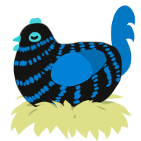 A black and sapphire chicken with a bar pattern