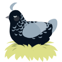 A cream and bark chicken with a half-lace pattern