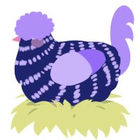 A navy and lilac chicken with a bar pattern