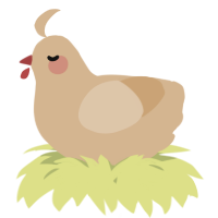 A beige chicken