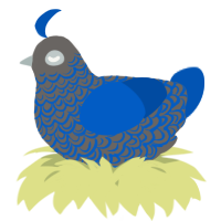 A grey and ultramarine chicken with a double-lace pattern