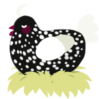 A black and white chicken with a speckle pattern