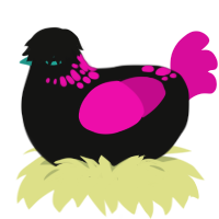 b00ty guru, a black and fuchsia chicken with a neck-speckle pattern