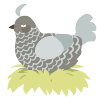 A ash and silver chicken with a lace pattern